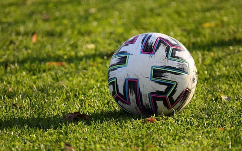 Bologna corsaro a Torino: 0-2 targato Dallinga e Pobega