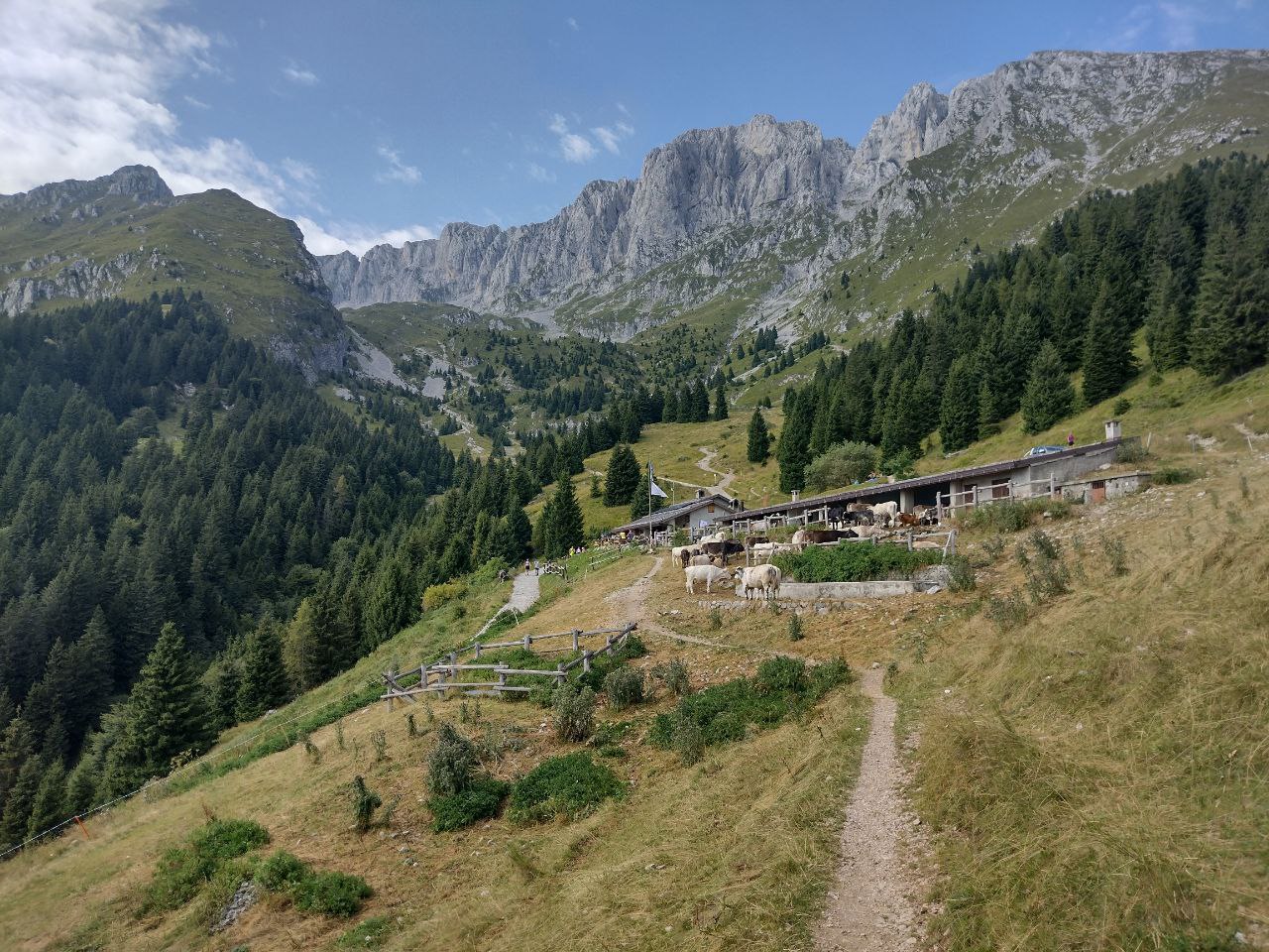 Atalanta, sfuma il ritiro in Val Seriana: i motivi del no