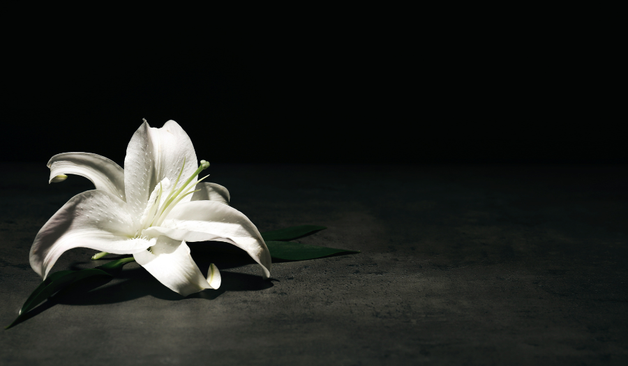 Tragedia nel mondo dello Sport: morto l’ex portiere Manninger