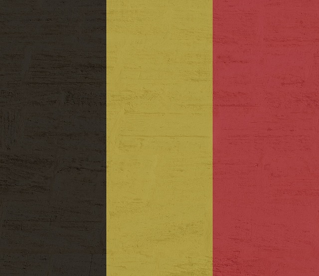 Belgio, la conferenza pre Italia di Tedesco e Tielemans