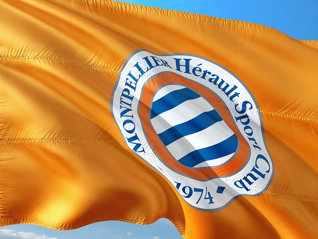 Montpellier, Nicollin esonera Der Zakarian in diretta tv