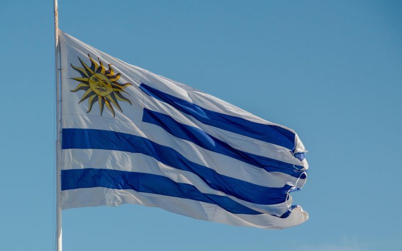 La papera di Muslera costa l’eliminazione dell’Uruguay
