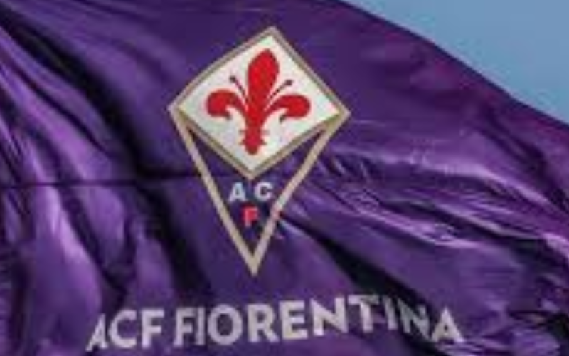 Fiorentina, ecco Dzeko! Colpo in attacco della Viola