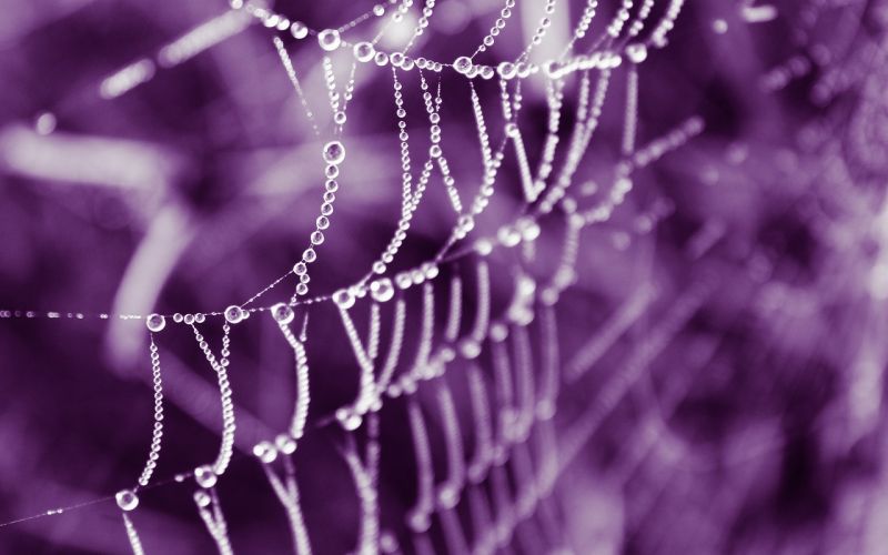 Biraghi vicino al Torino: la Fiorentina punta a Fagioli