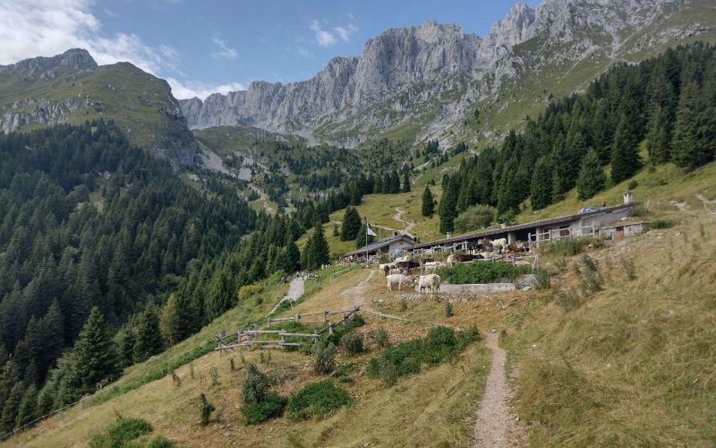 Atalanta, sfuma il ritiro in Val Seriana: i motivi del no