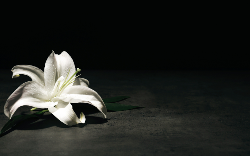 Tragedia nel mondo dello Sport: morto l’ex portiere Manninger